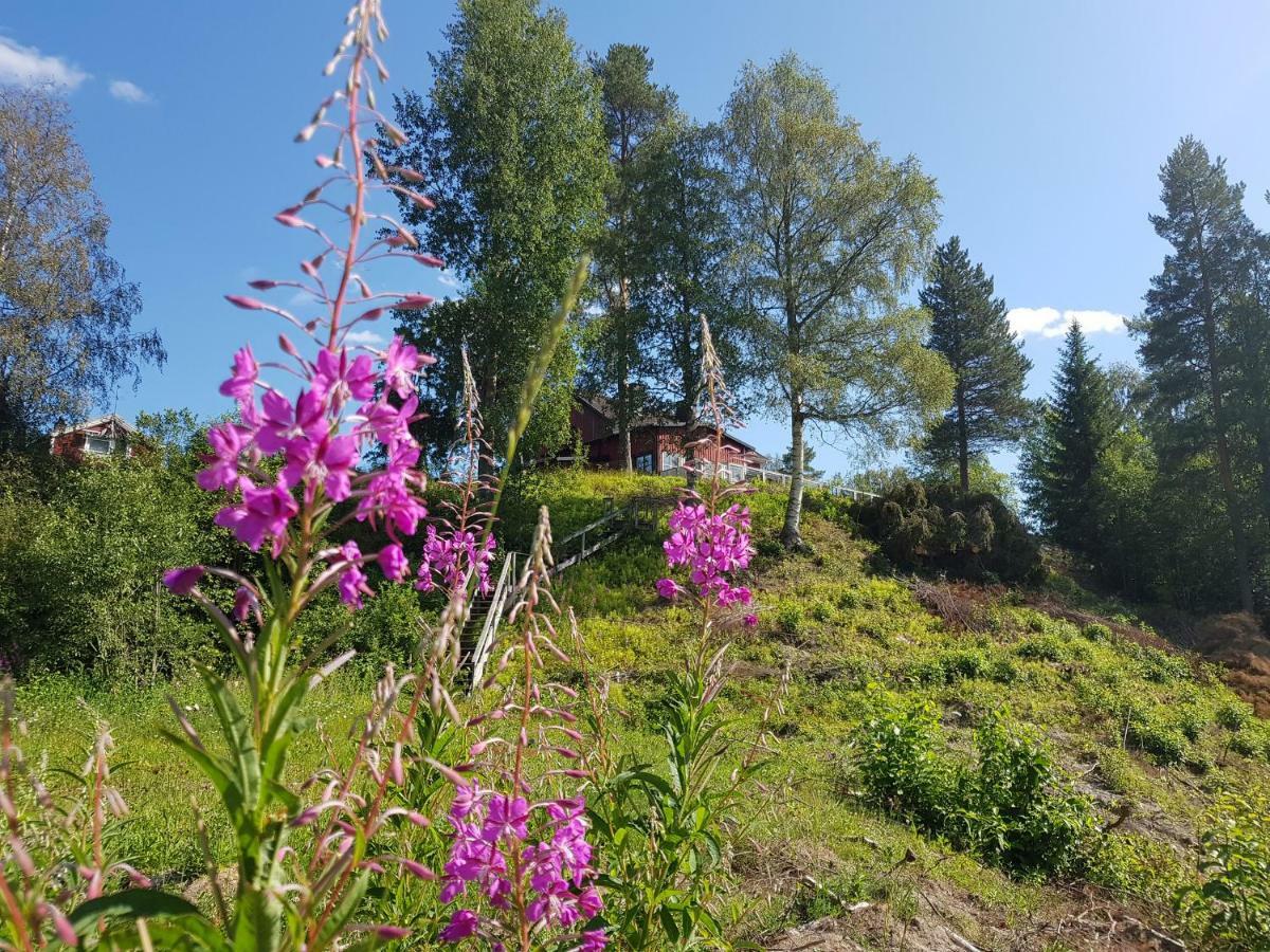 Bjoernforsens Turist & Konferenshotell, Naera Husum, Oernskoeldsvik Bjorna Dış mekan fotoğraf